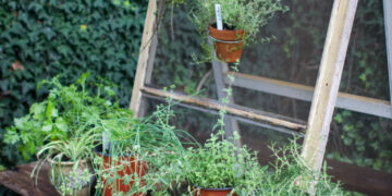 Creative ideas to transform an old window into a hanging herb garden