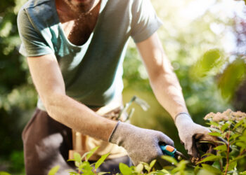 A new solution to mental health issues