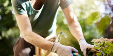 A new solution to mental health issues