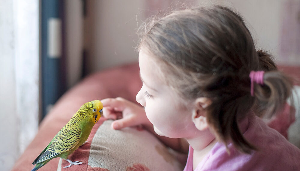 The parrot that saved his owner’s life