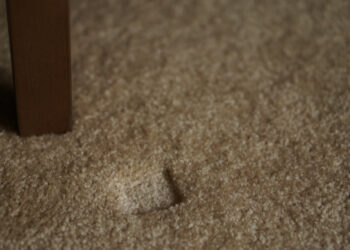 How to fix dents in your carpet