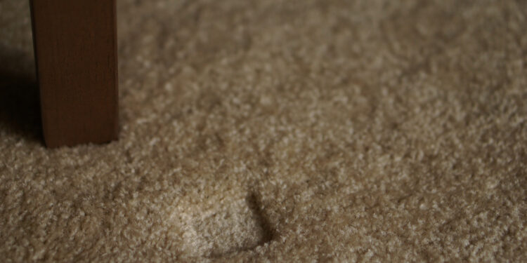 How to fix dents in your carpet
