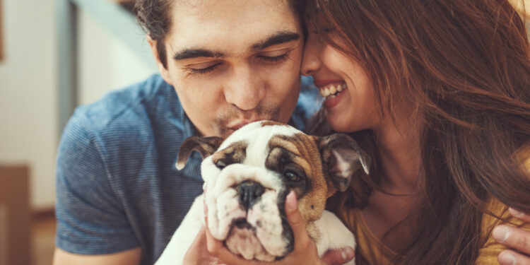 The Benefits Of Welcoming A Pet Into Your Home
