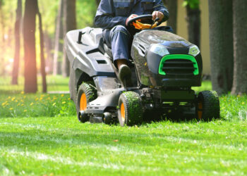 The Anti-Lawn Movement