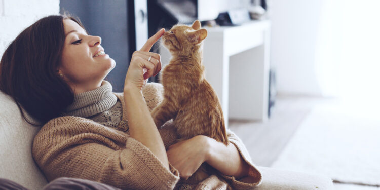 Study finds that cats really are attached to their people