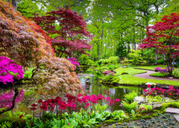 Components of a zen garden