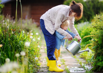 When should I water my plants in the summer?