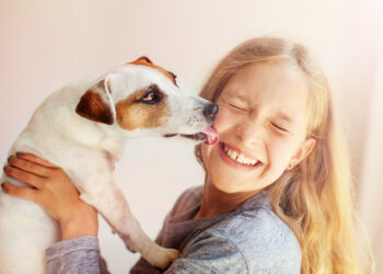 Why do dogs lick people?