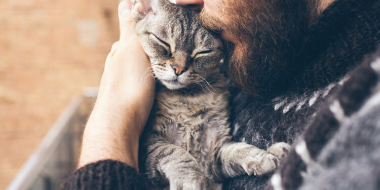 Why do people own pets?